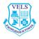 VEE logo