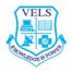 VEE logo