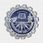 Indira Gandhi Institute of Technology- [IGIT] logo