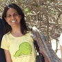 Babita