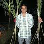 Anil Sharma