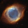 Mayank Dokania