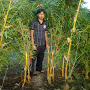 Puspanjay Kumar
