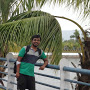 Harshal Wadile