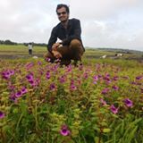AMOL SHINDE