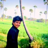 anilreddy