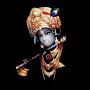 Harshil Nimeshkumar Shah