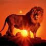 Ajay Deshpande