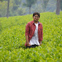 Anurag Rastogi