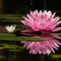 Swathi S