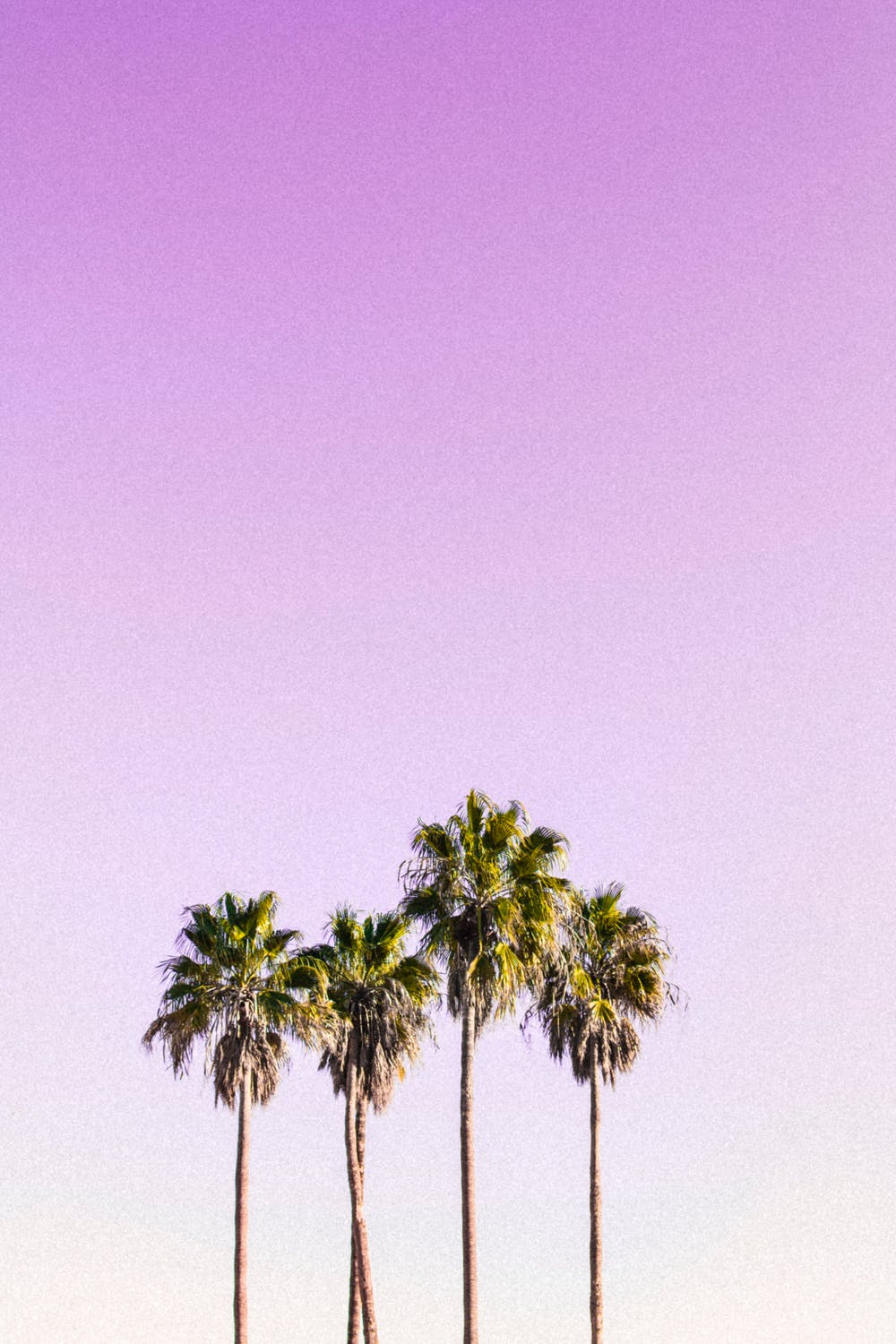 Anu
