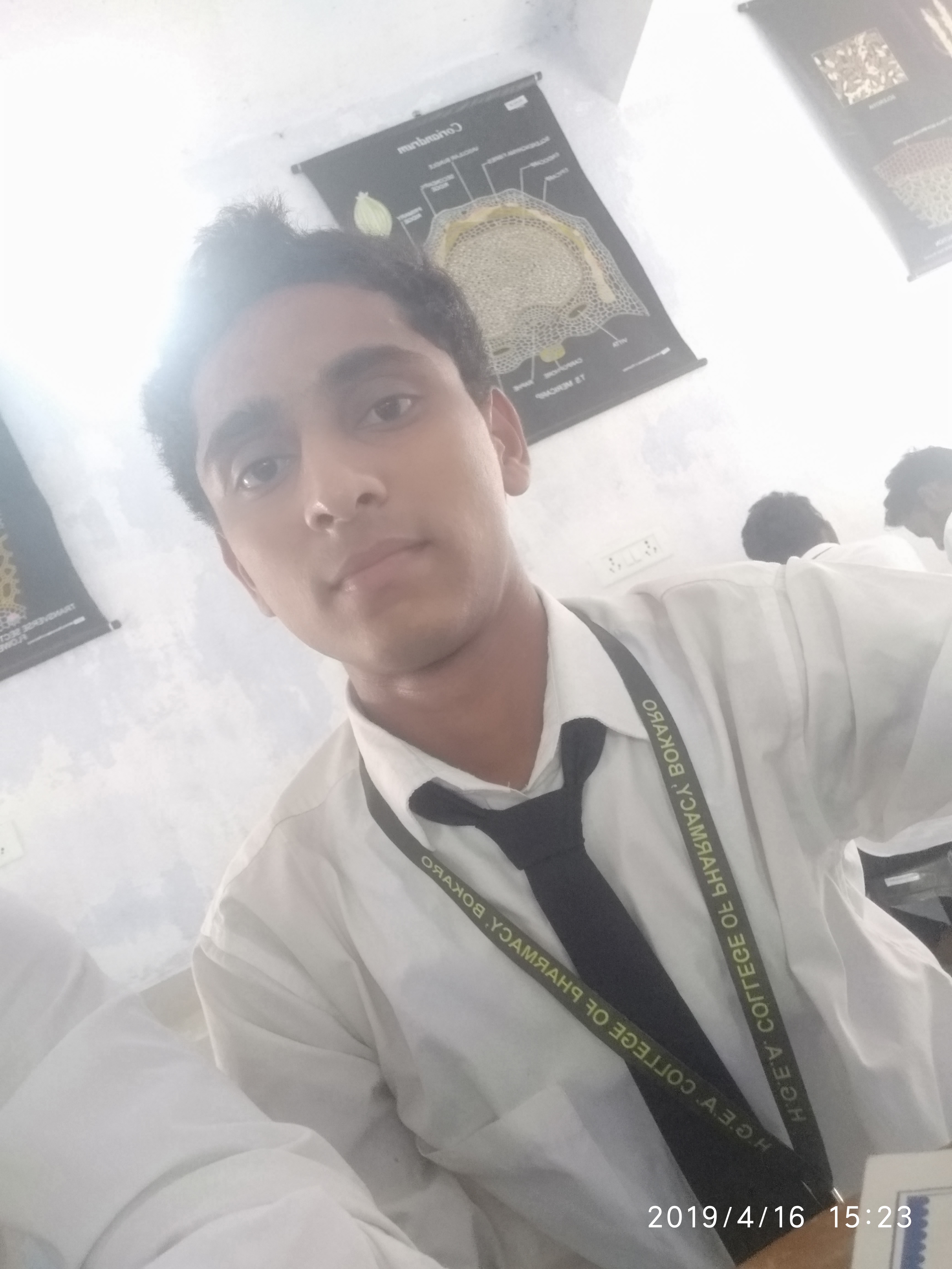 Bapi dey