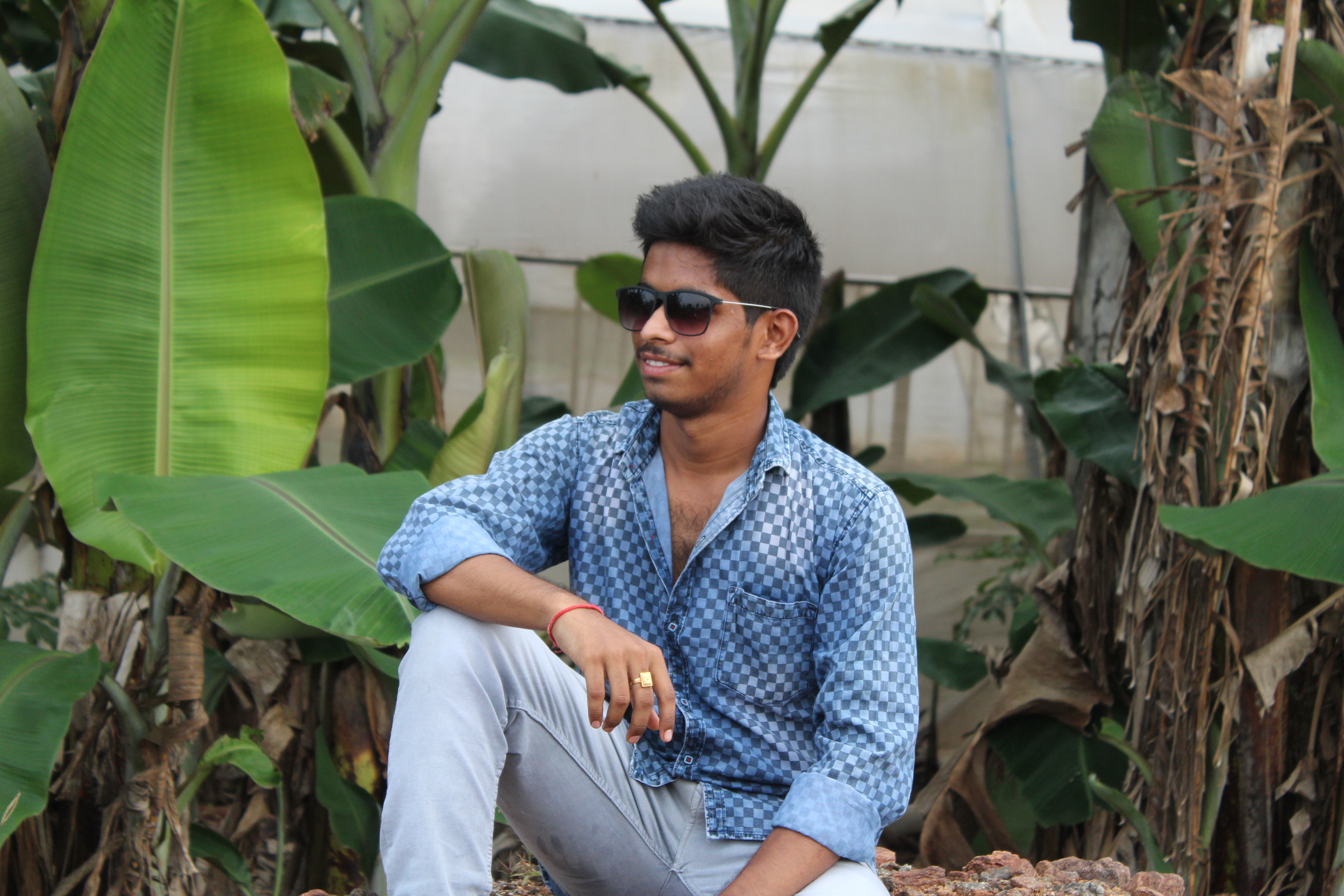Madhu Shankar