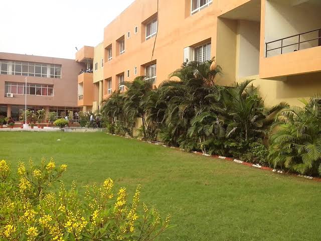 Manav Chourasia