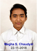 Megha S Chaudyal