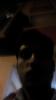N balakrishna