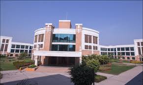 Parish choodhary
