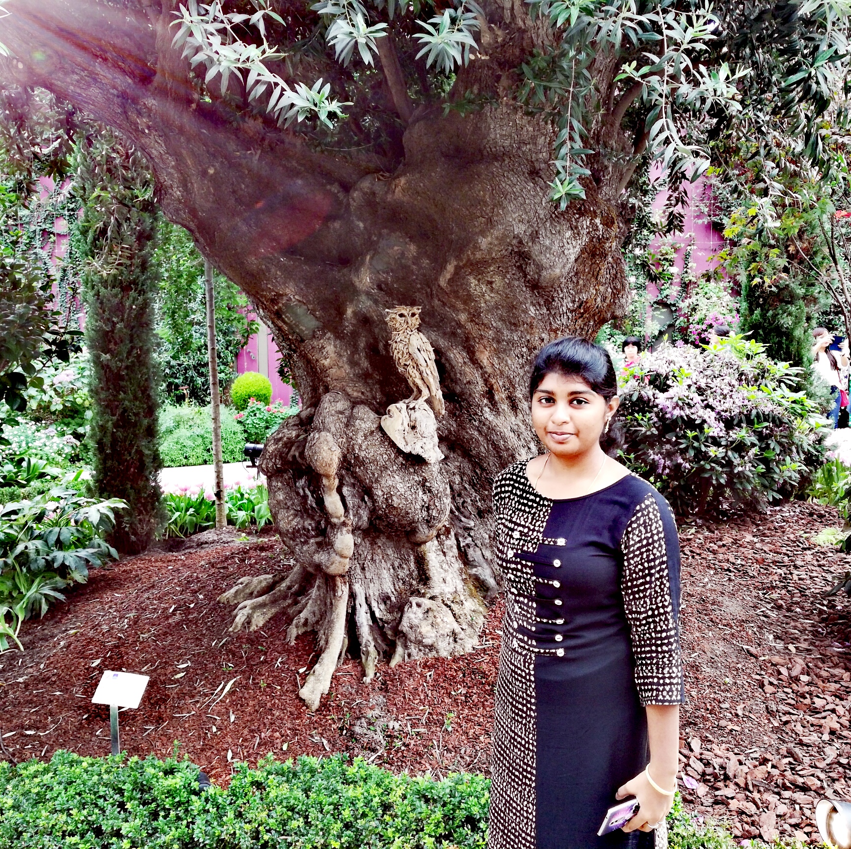 Priscilla Jeyarani