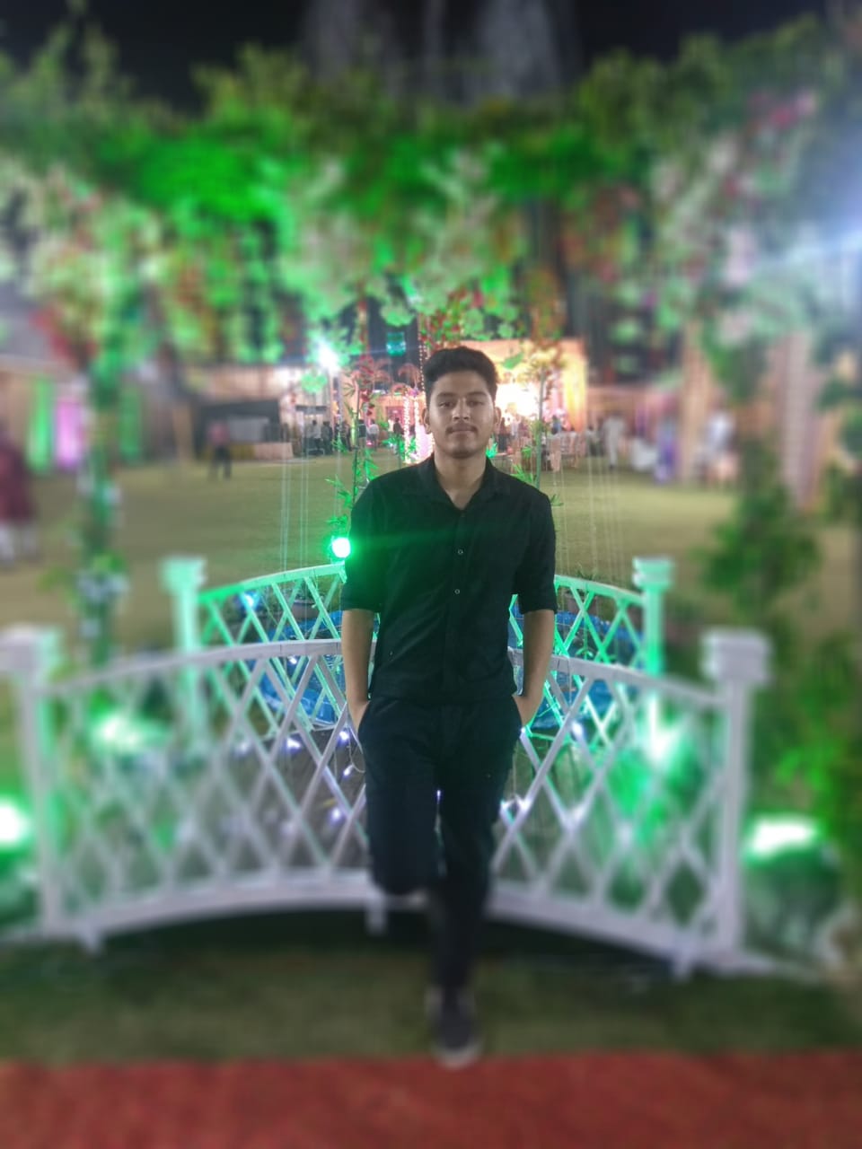 Robin rana