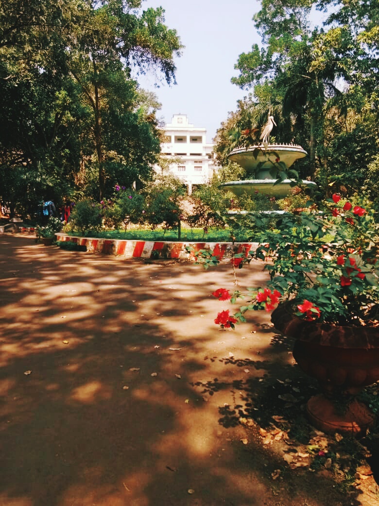 Sareena vn