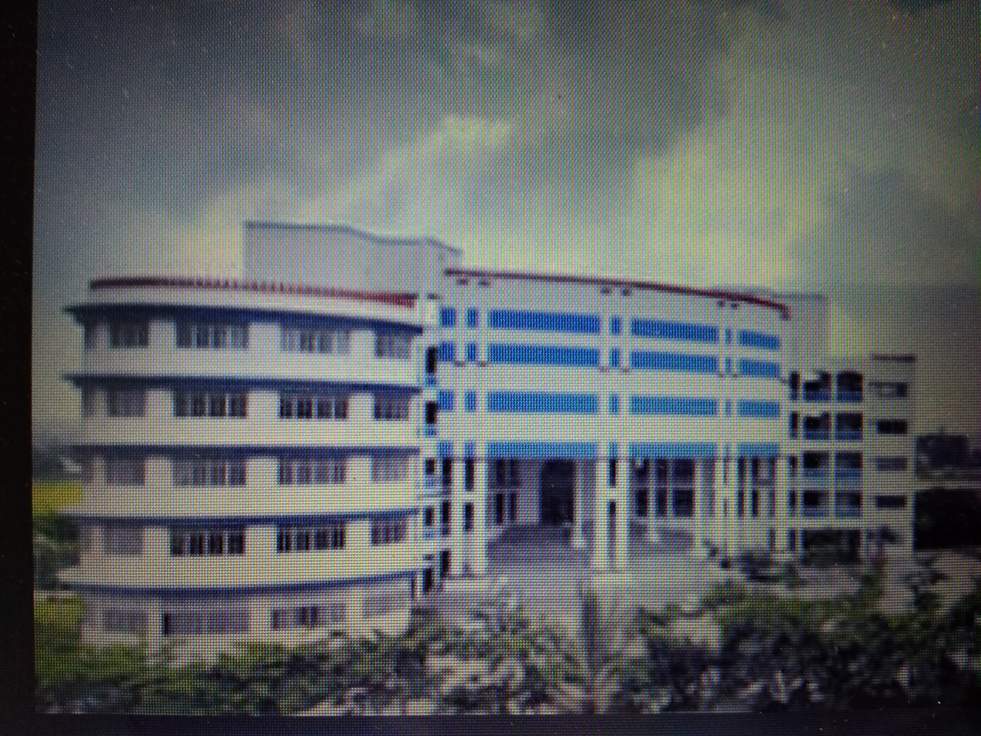Shailesh