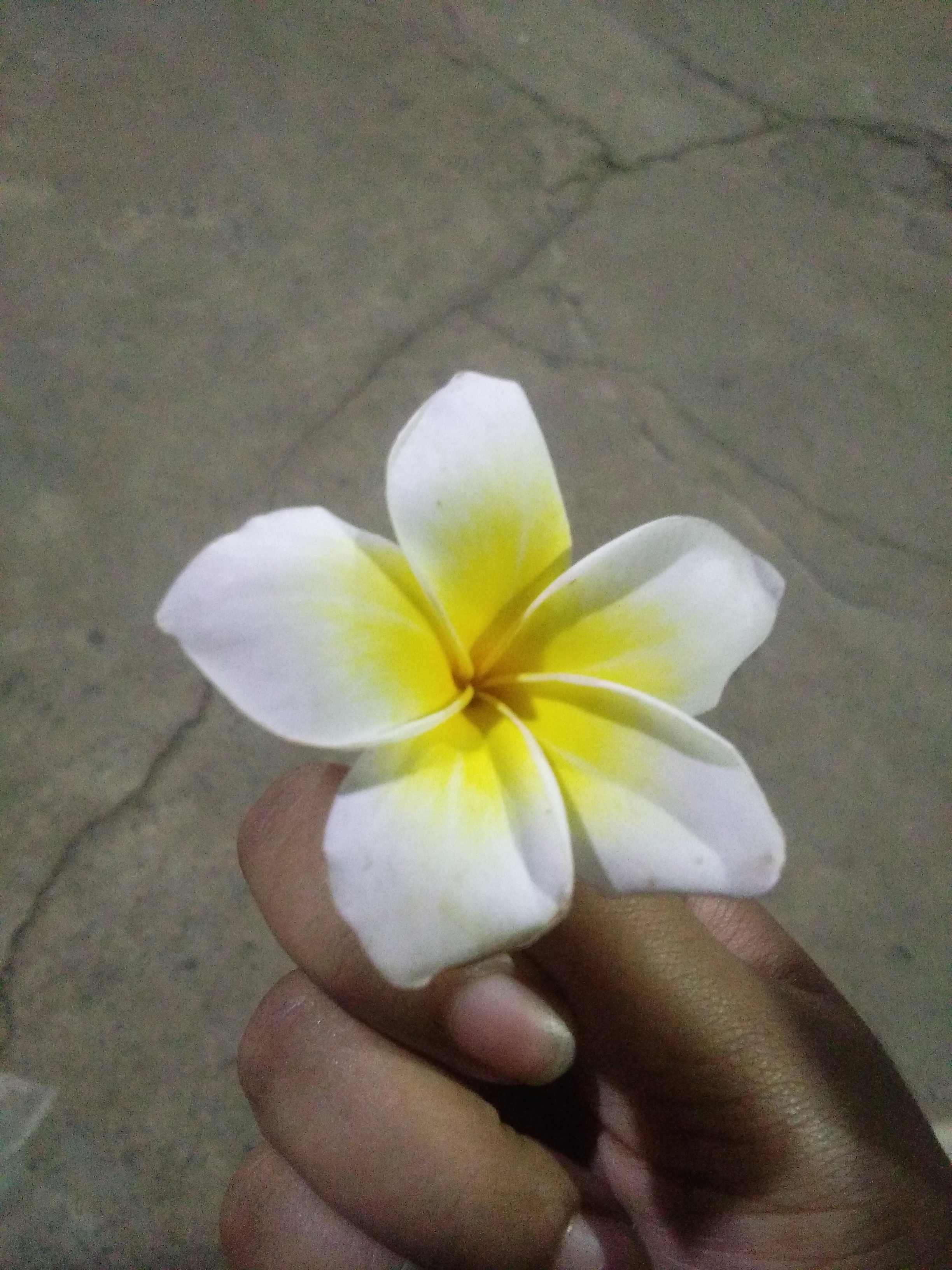 Smirithi k