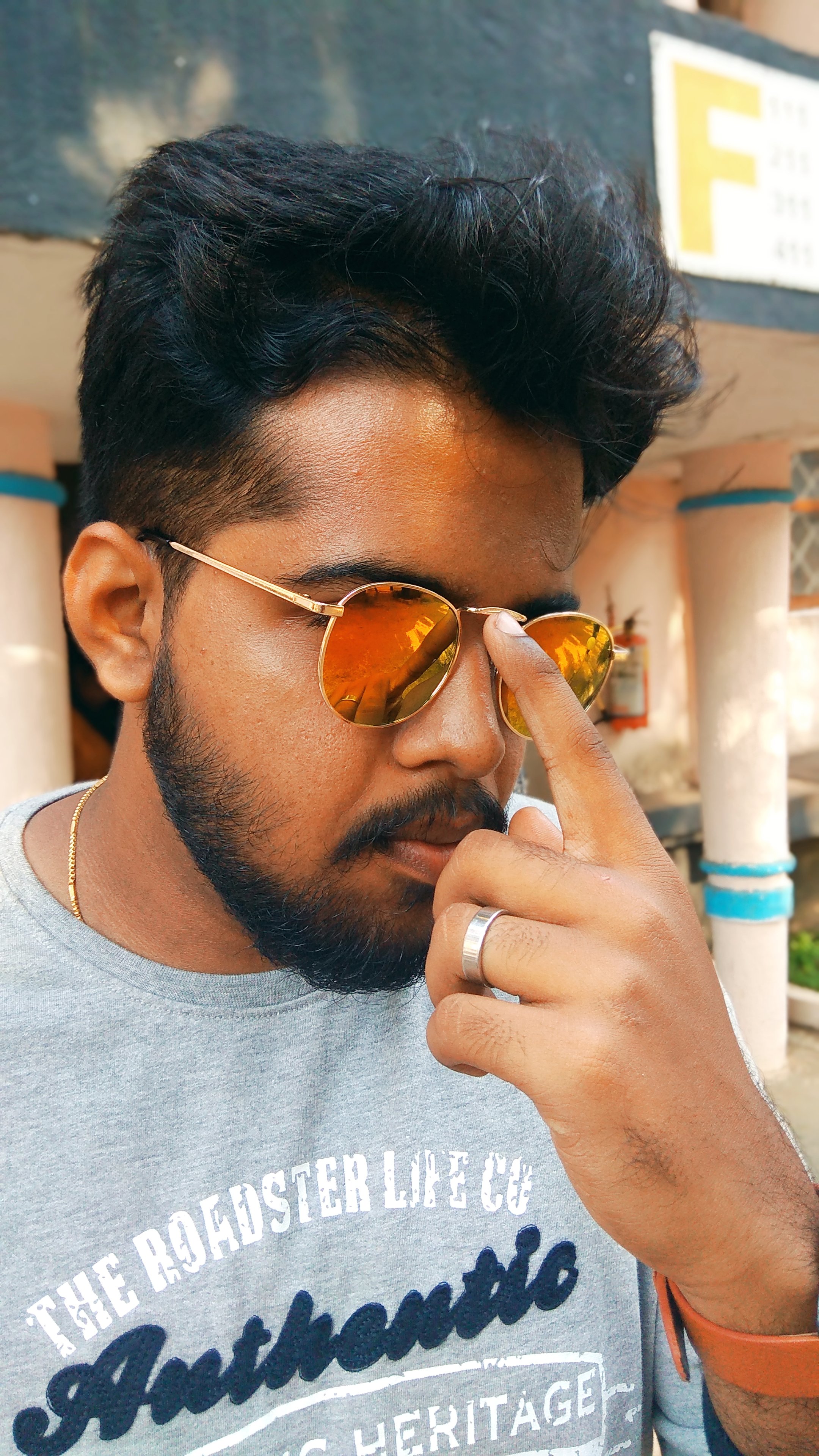 Sreehari N P