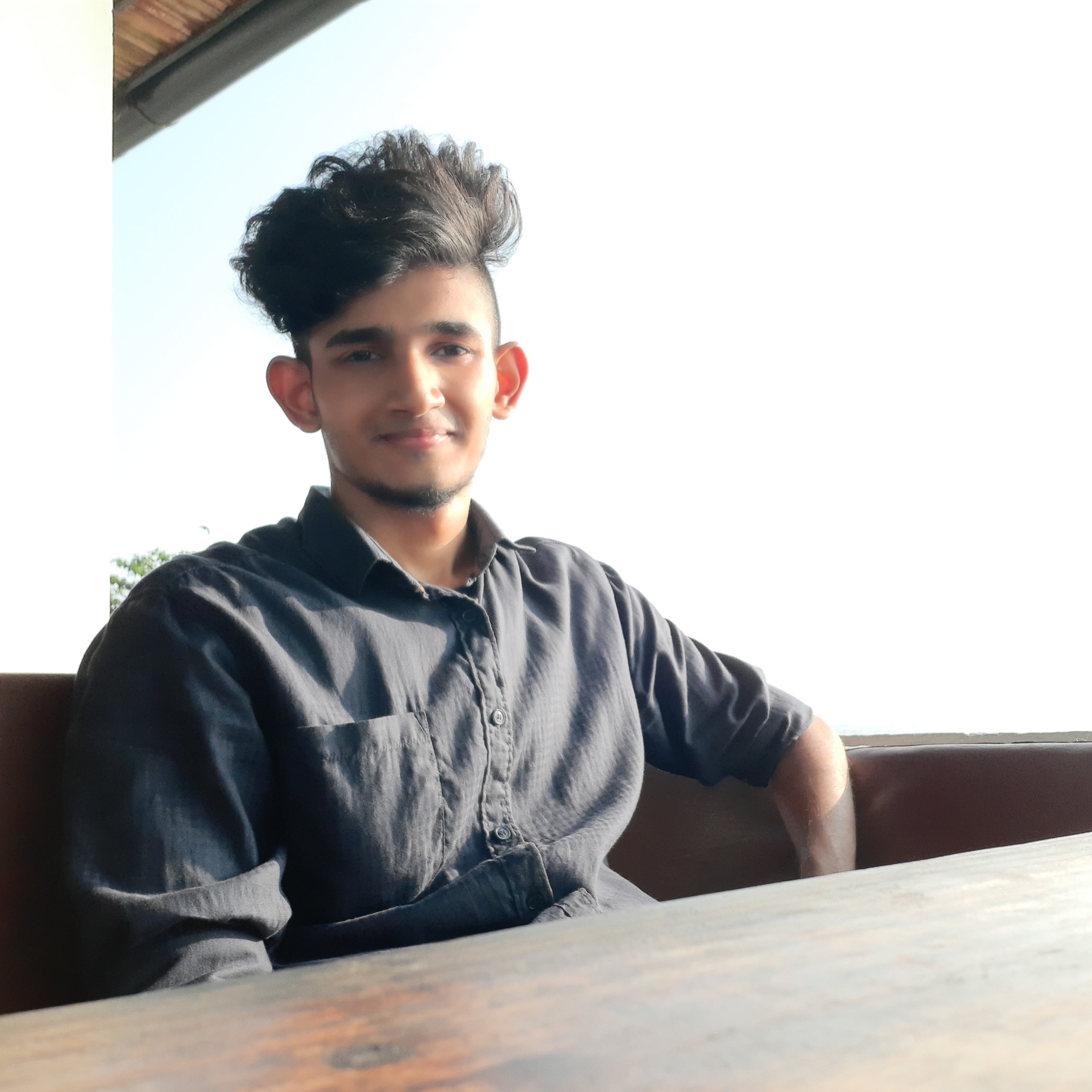 Sreesankar B