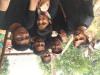 Sridhar