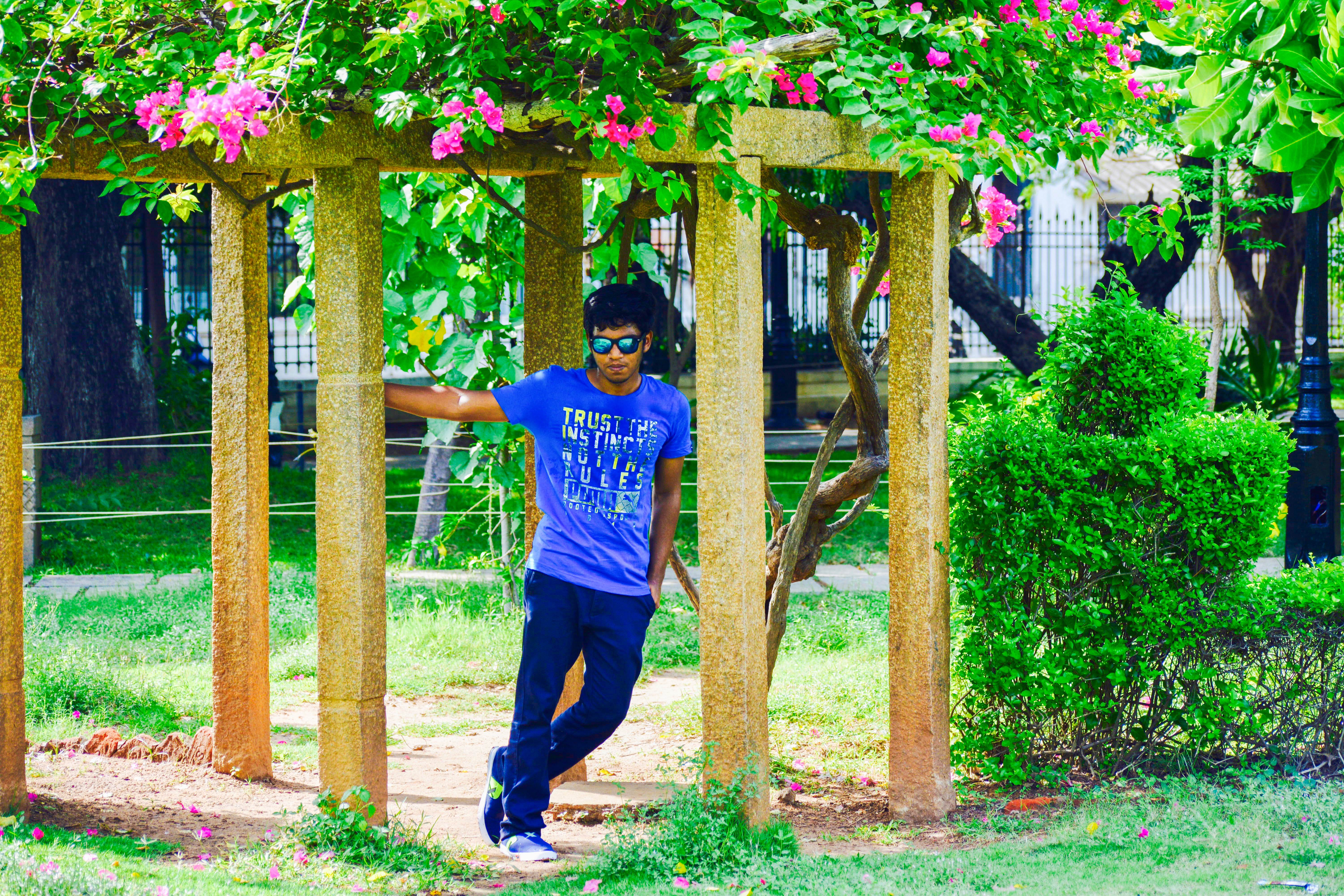 krishna kumar
