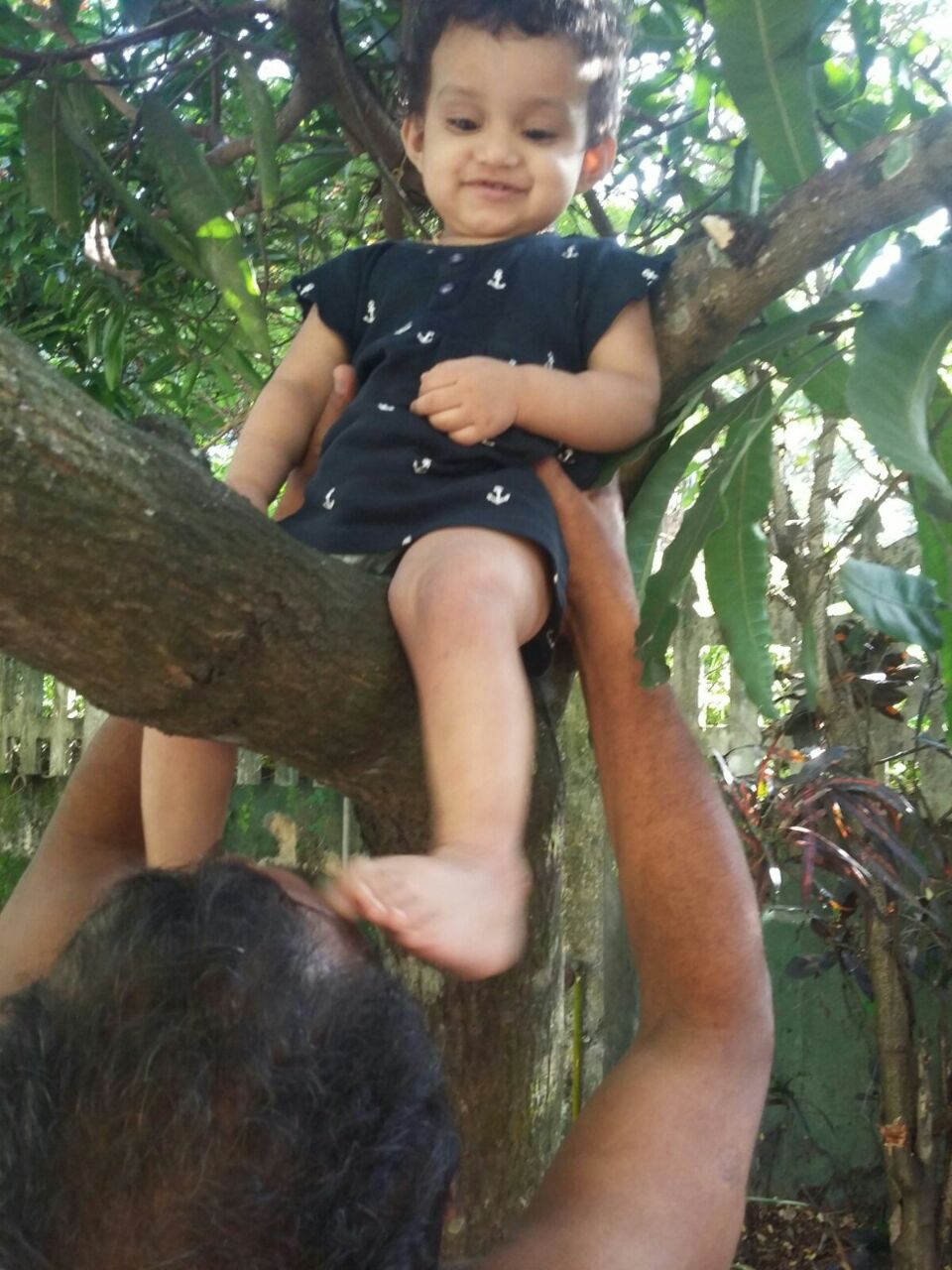 Ameer