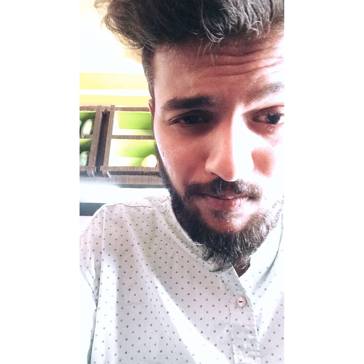 Bibin cs