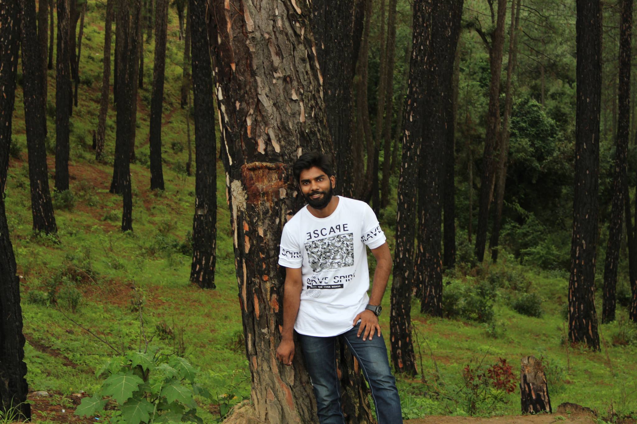 Sharad