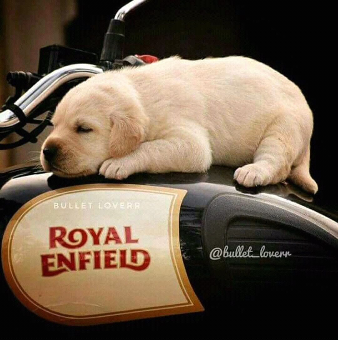 Shriram