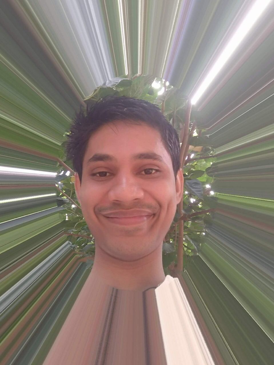 Vikash