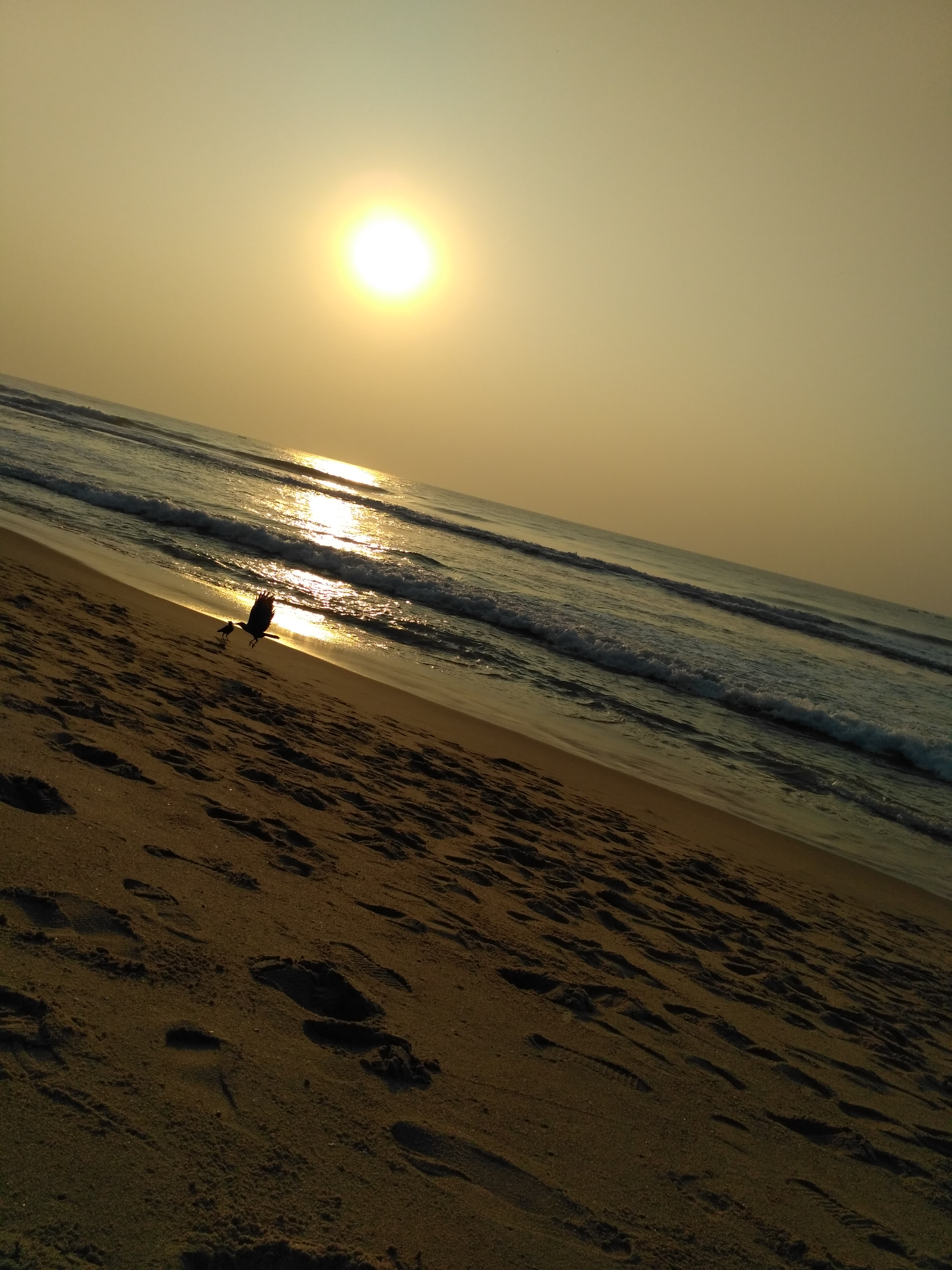 Bhavani