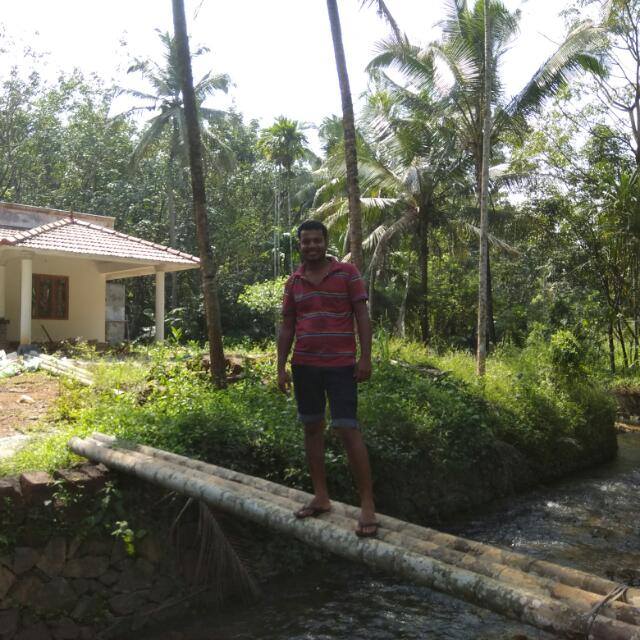 Sijo jose