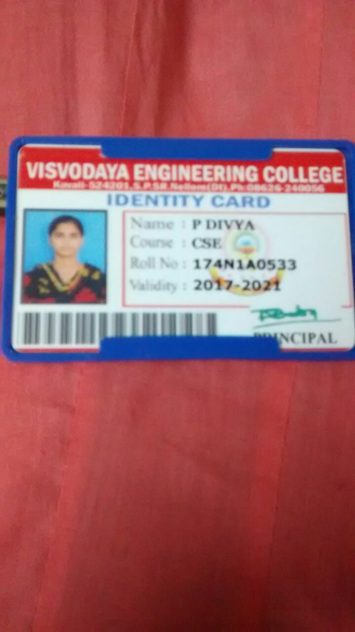 palepu divya