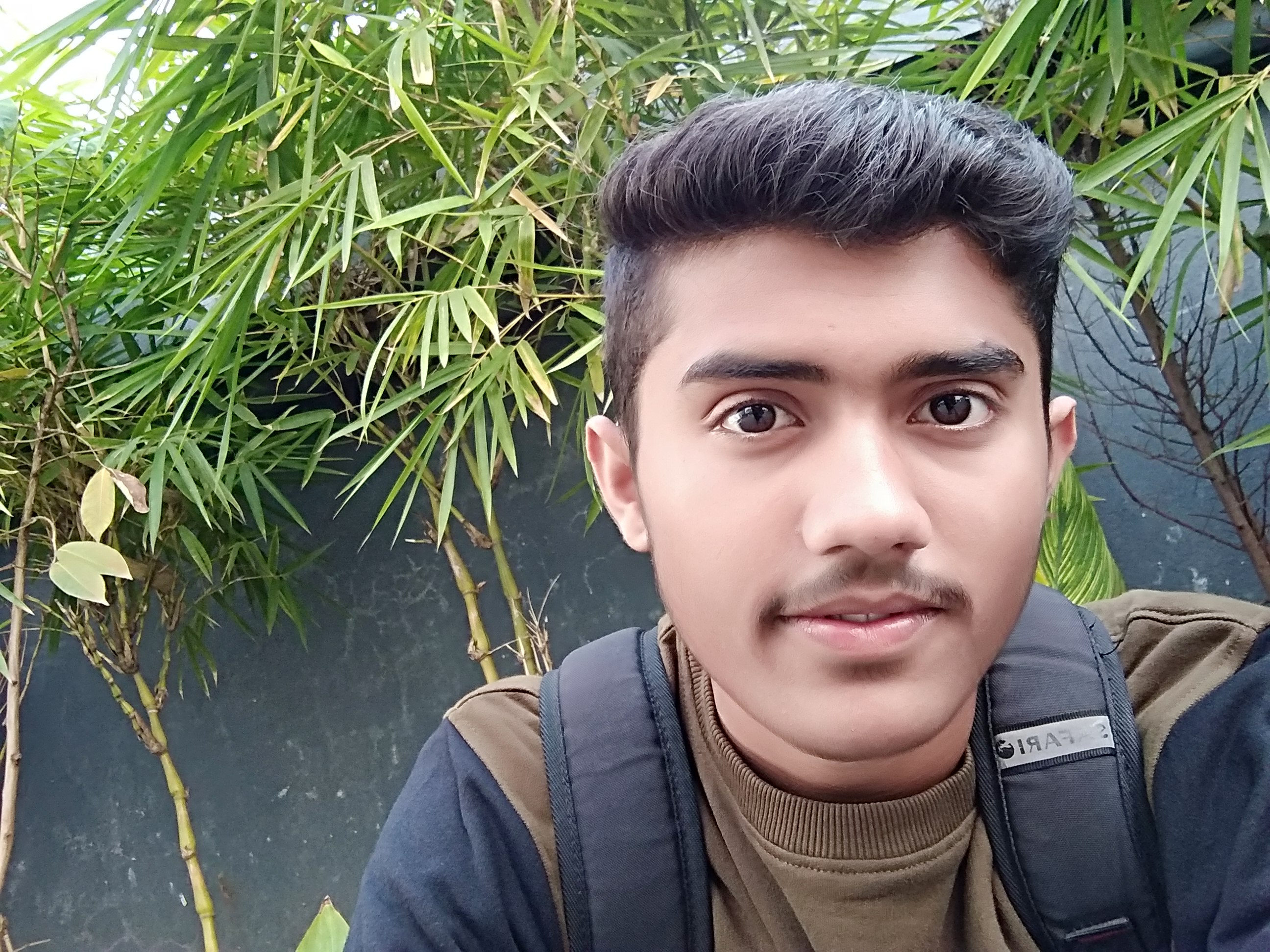 Narendra