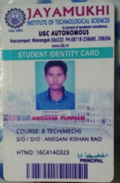 Anegani Punnam