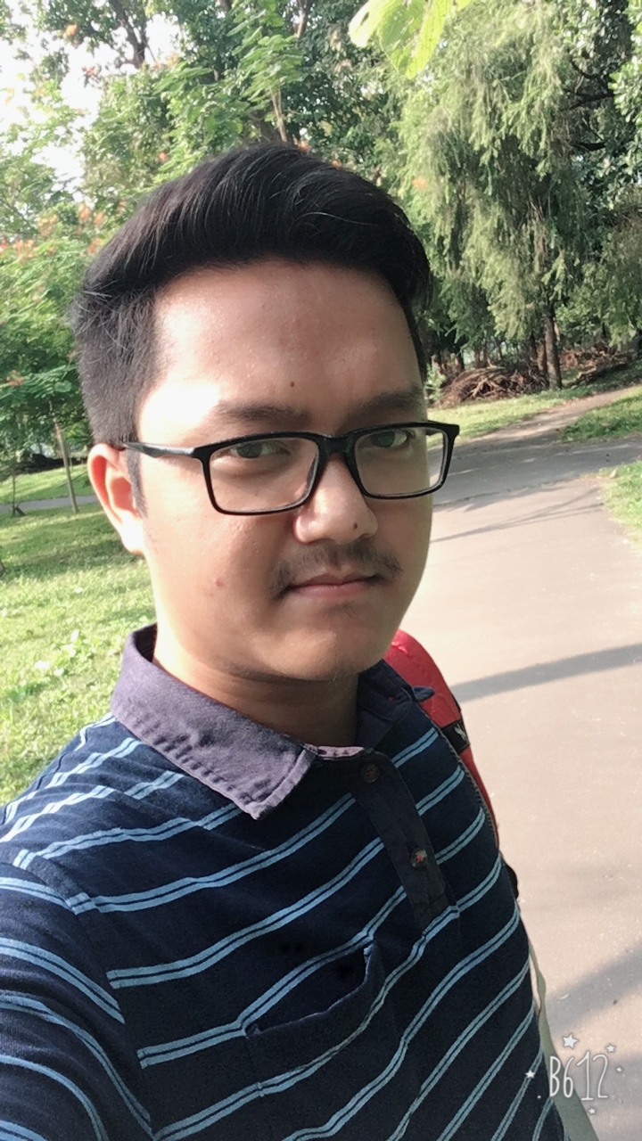 Souvik Narjinary