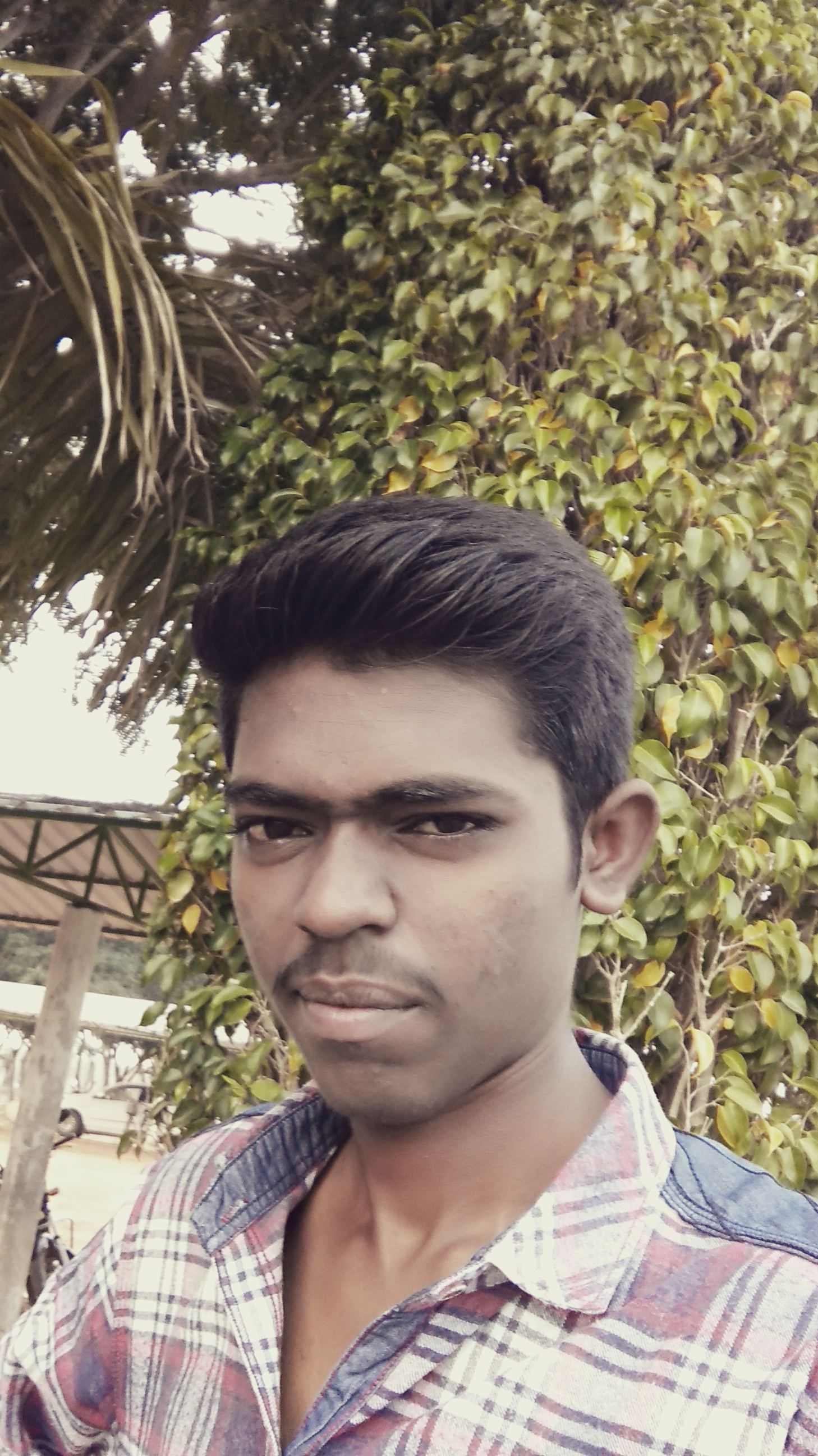 Pavan