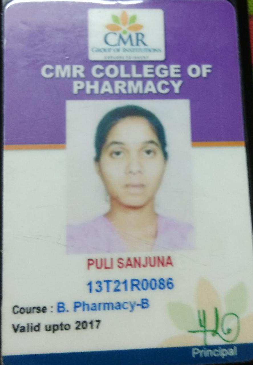 puli sanjuna