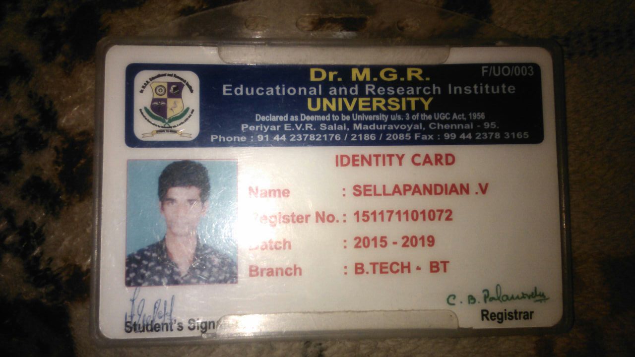 Sellapandian V