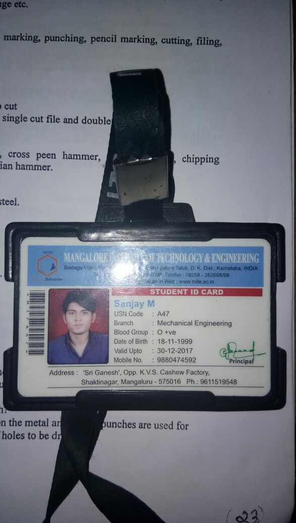 sanjay salian