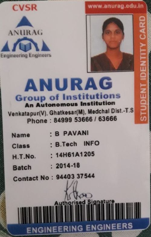 B Pavani