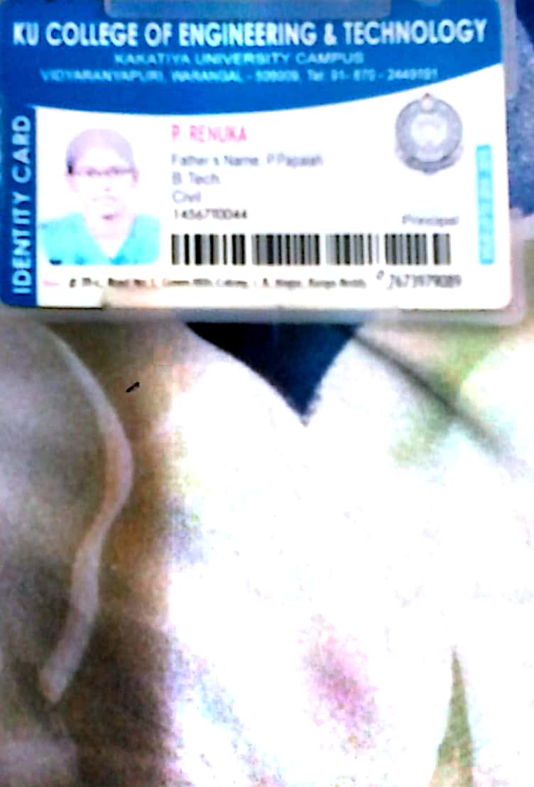p renuka