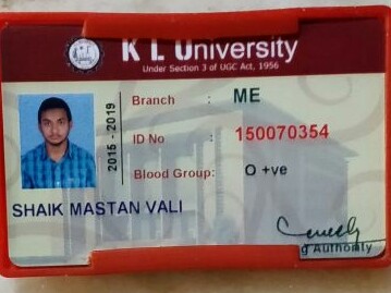 Shaik mastan vali