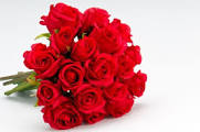 santhinipriya