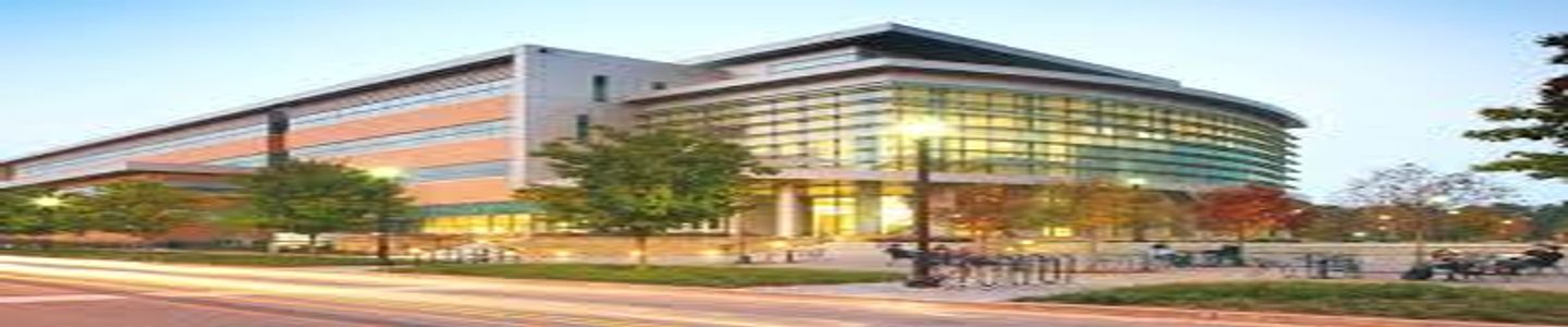 Kennesaw State University banner
